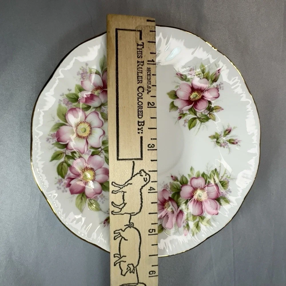 Queen's Prairie Rose‎ Tea Cup and Saucer Banff Alberta England Bone China